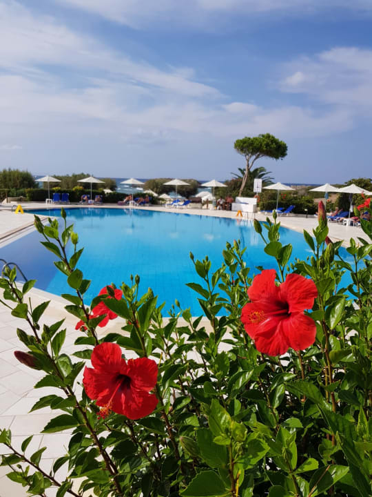 Pool Grecotel Meli Palace