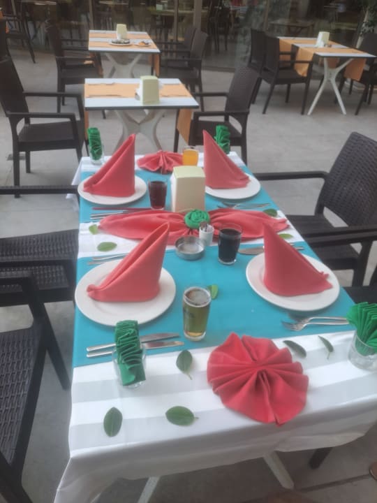 Gastro Seashell Vega