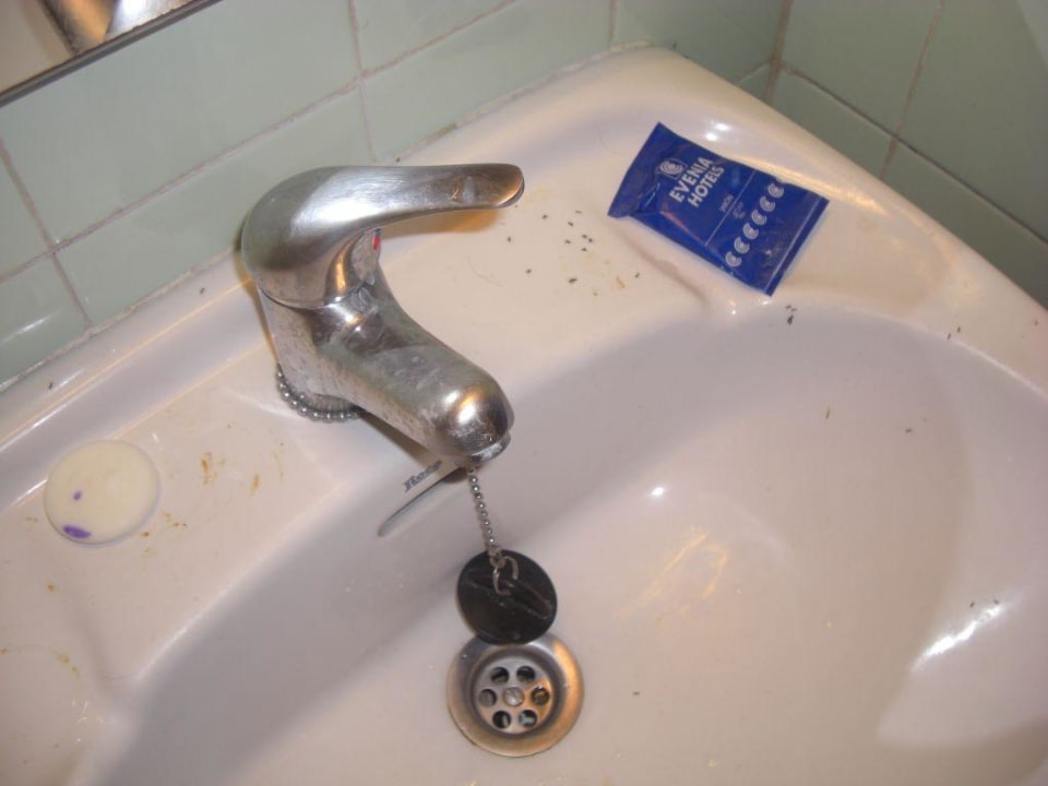 Waschbecken mit Ameisen Hotel Montevista
