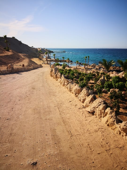 Strand Pickalbatros Citadel Resort