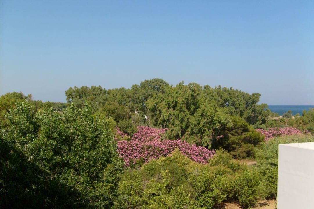 Zimmerausblick Caravia Beach Hotel