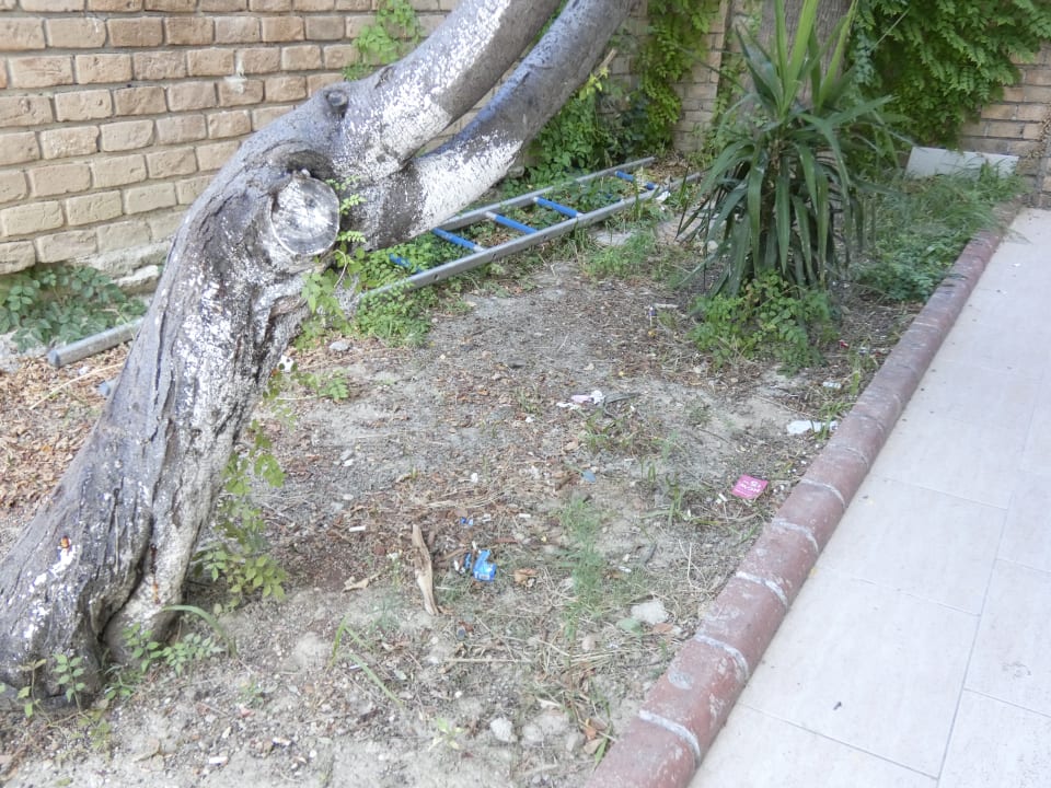 Gartenanlage Cinar Family Suite Hotel