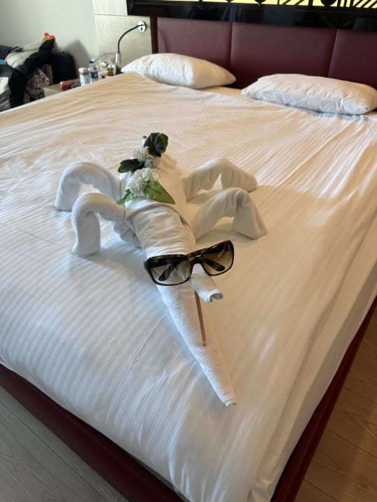 Zimmer Hotel Delphin Imperial