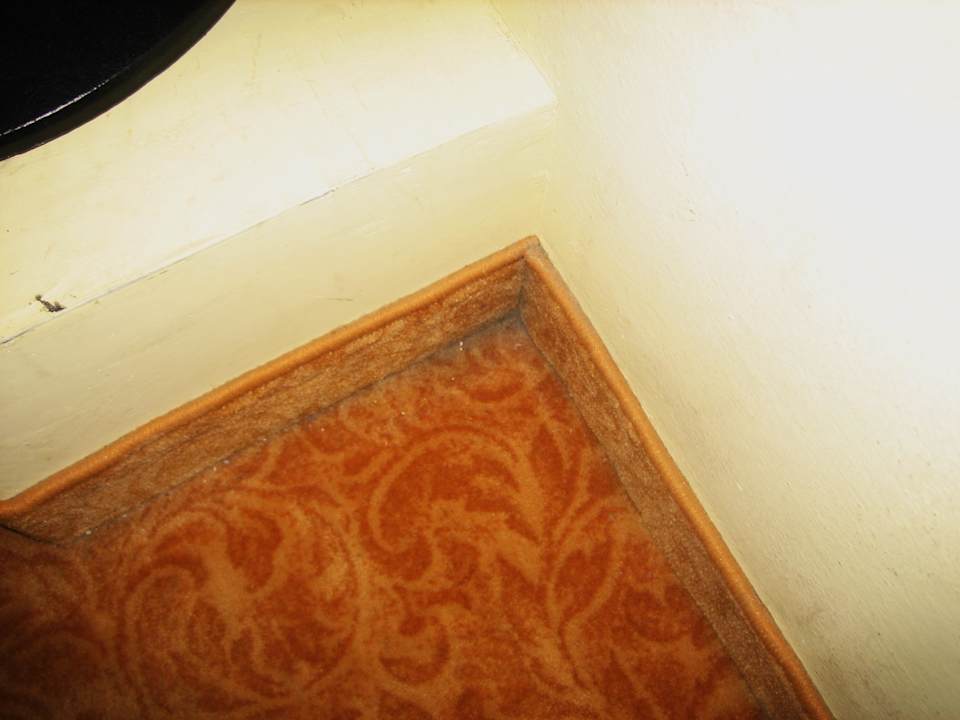 Schmuzige Teppiche Hotel San Carlo Vacanze