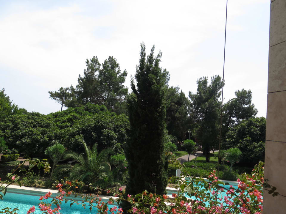 Blick vom Balkon Gloria Serenity Resort