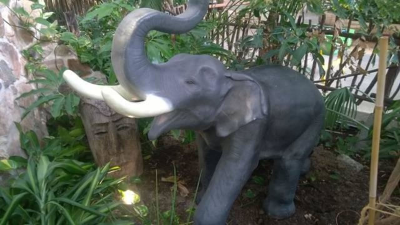 Tropino Bereich Tropical Islands Resort