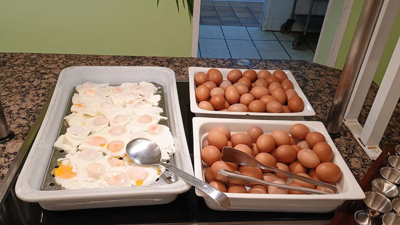 Gastro Calimera Fido Gardens