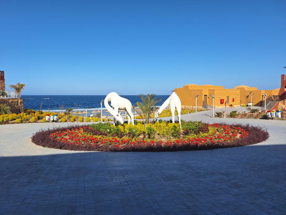 Gartenanlage Pickalbatros Vita Resort - Portofino Marsa Alam