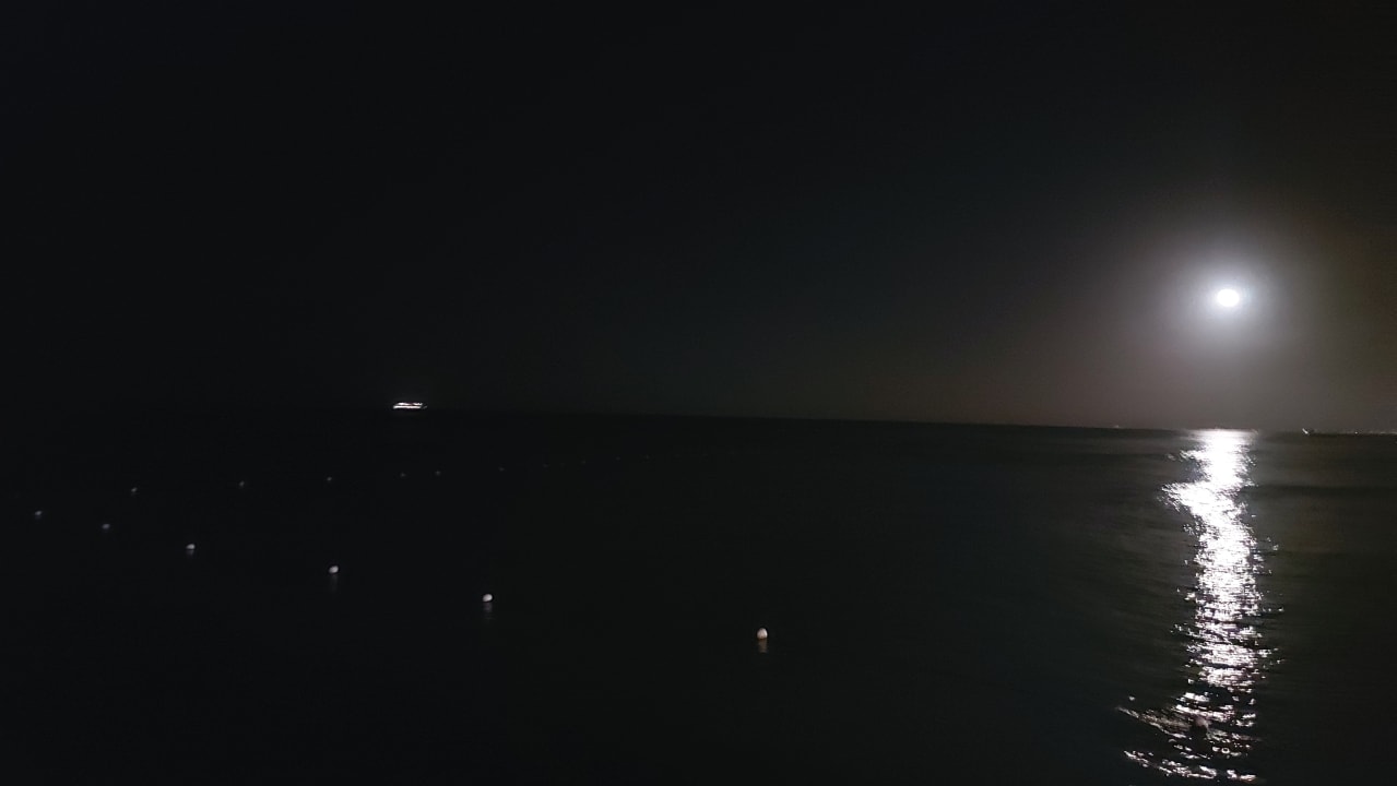 Ausblick Sunscape Dominicus La Romana