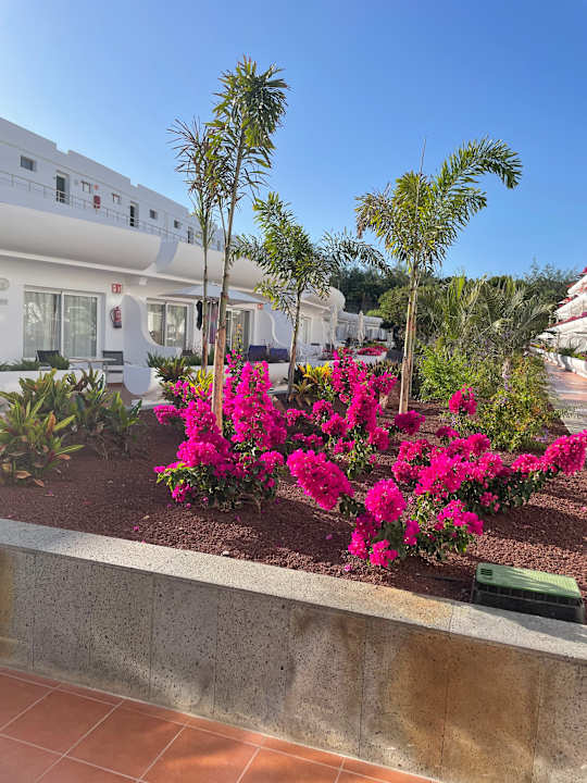 Gartenanlage allsun App.-Hotel Barlovento