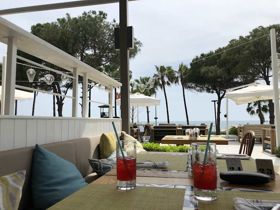 Gastro Acanthus Cennet Barut Collection