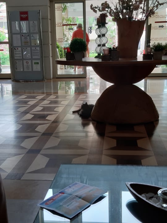 Lobby Trendy Palm Beach (Adults Only, 16+)