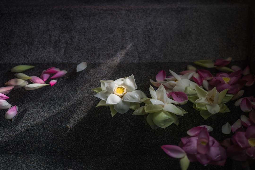 Sonstiges Sokkhak Boutique Resort