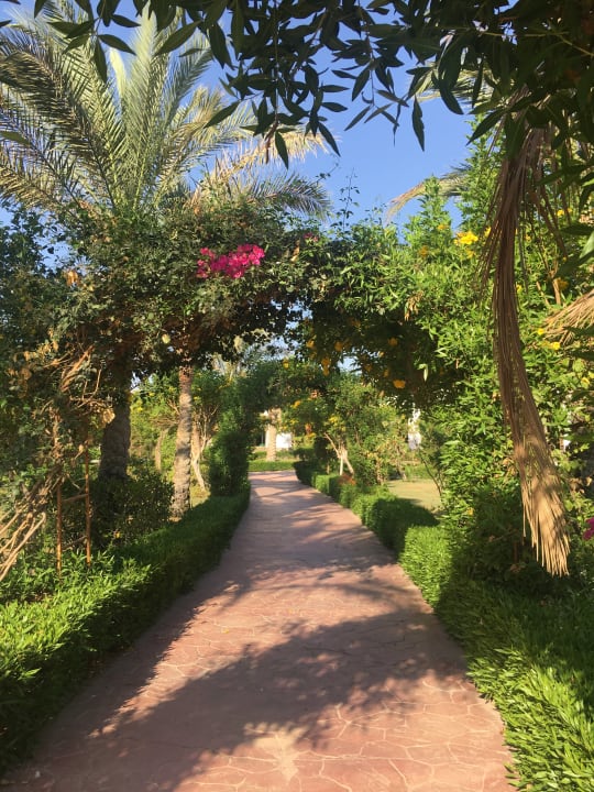 Gartenanlage Fantazia Resort Marsa Alam