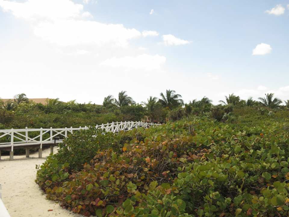 Der Weg zum Strand Melia Las Dunas