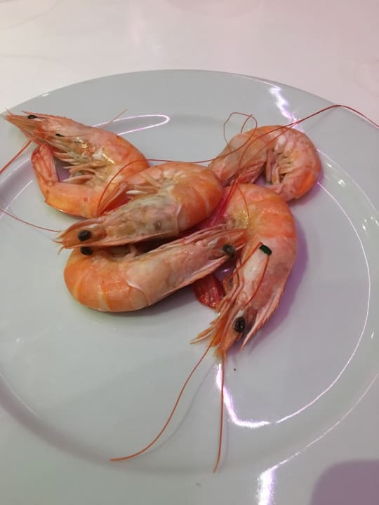 Restaurant Adam & Eve - Adults only