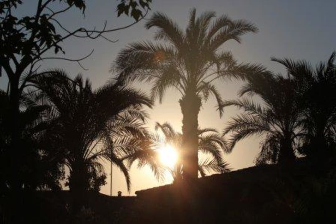Sonnenaufgang TUI BLUE Palm Garden