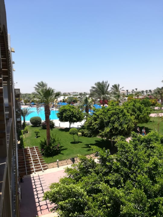 Ausblick Desert Rose