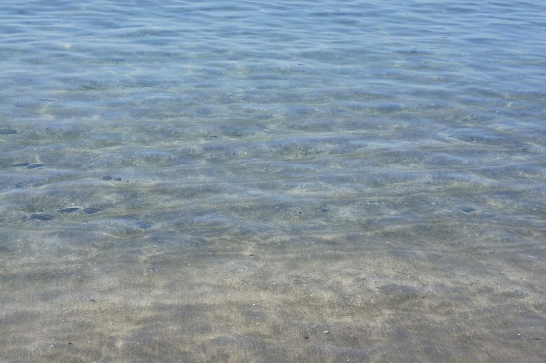 Glasklares Meer Hotel Riu Arecas - Adults only