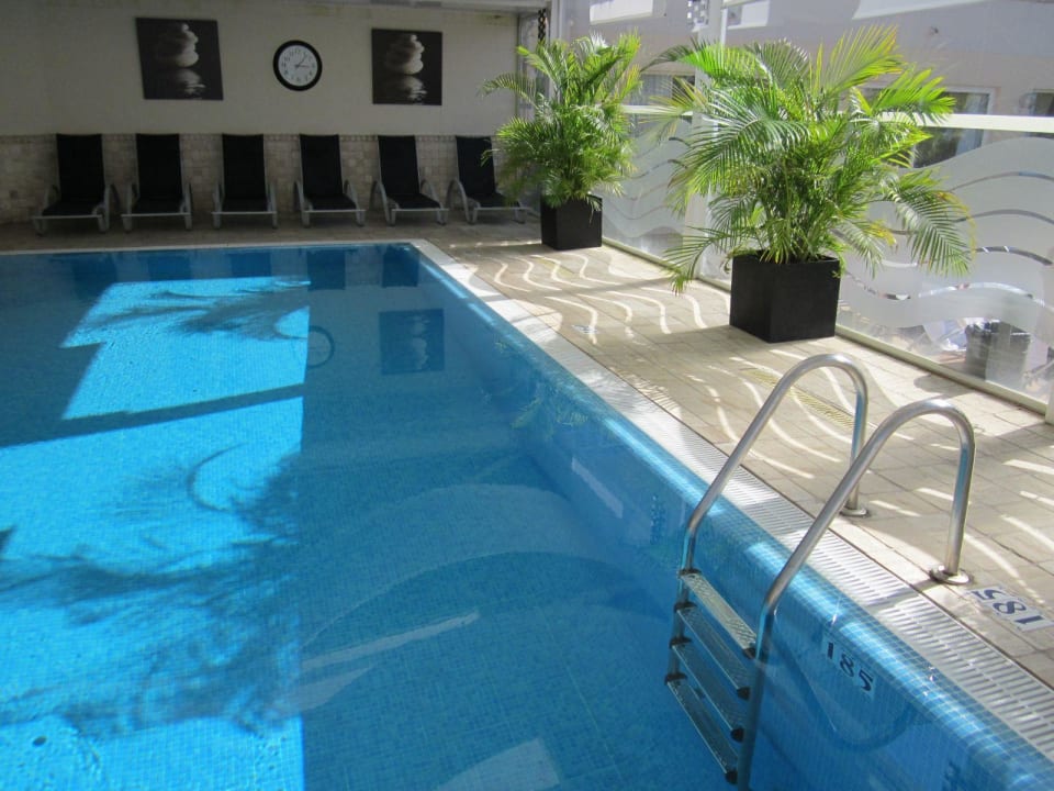 Hallenbad Grupotel Acapulco Playa - Adults Only