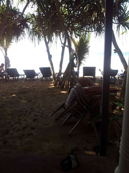 Blick vom Frühstücksbereich in den Garten Hotel Haus am Meer Wilde Ananas
