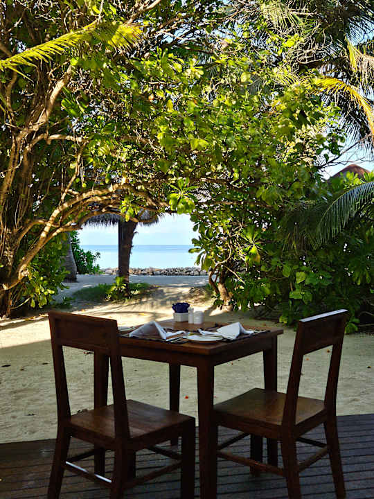 Gastro Summer Island Maldives