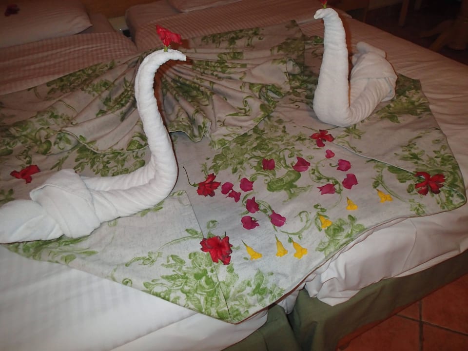 Täglich ein anderes Kunstwerk Ghazala Gardens