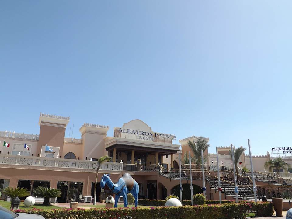 Albatros Palace Resort Pickalbatros Palace Resort