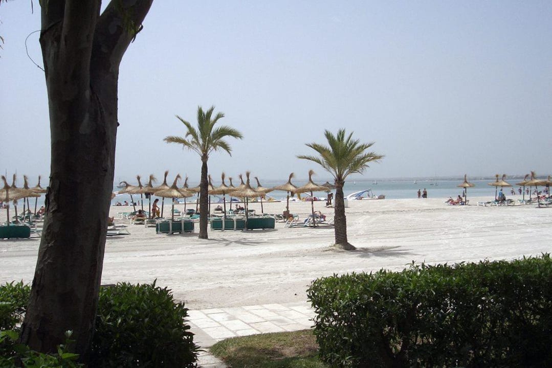 Blick vom Pool zum Strand VIVA Golf - Adults only 18+