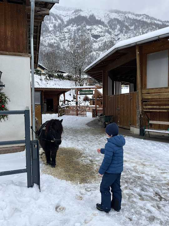 Gartenanlage POST Family Resort