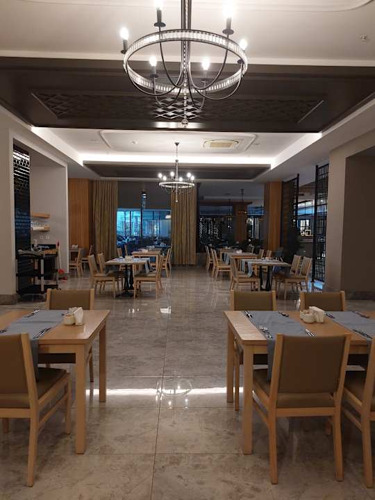 Gastro Seashell Vega