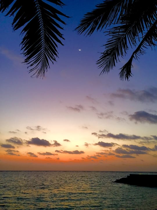 Strand Summer Island Maldives