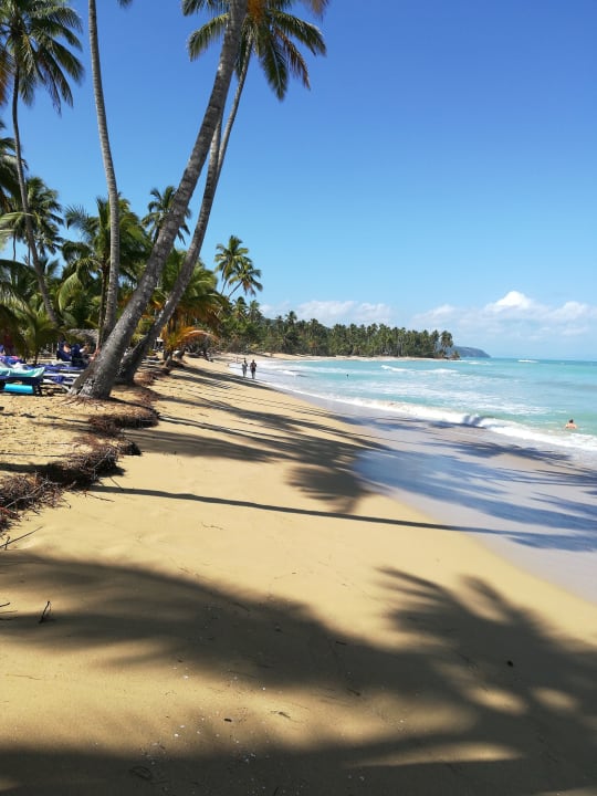 Strand Viva V Samana by Wyndham – Adults Only