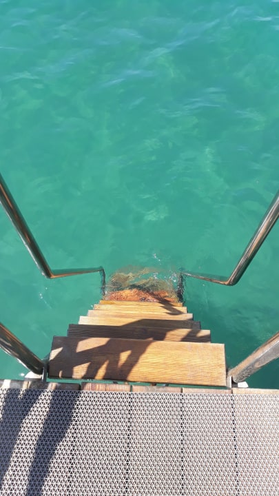 Strand Arum Barut Collection