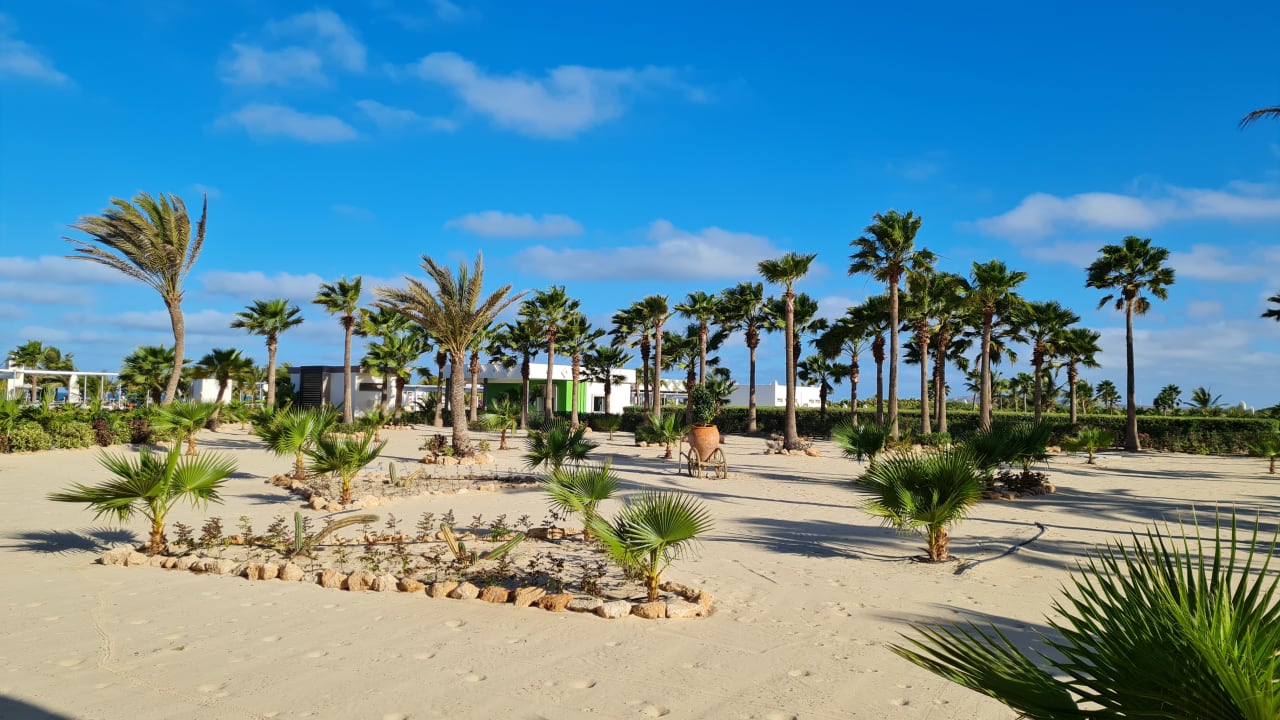 Gartenanlage Hotel Riu Karamboa
