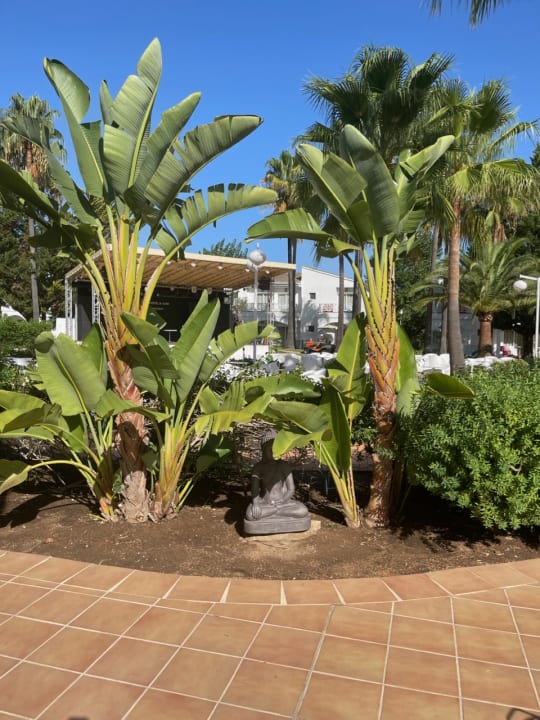 Gartenanlage Garden Saladina