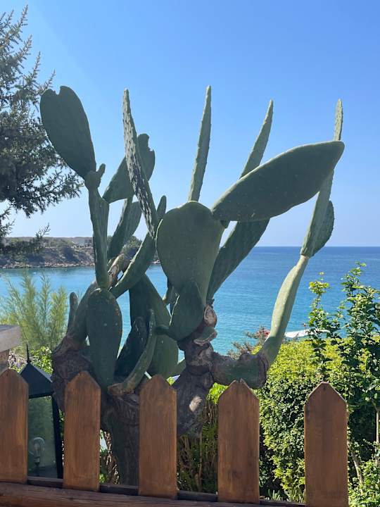 Sonstiges Ekaterini Hotel