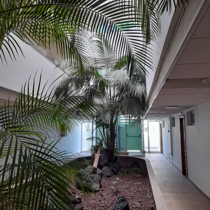 Lobby Apartamentos Los Aguacates