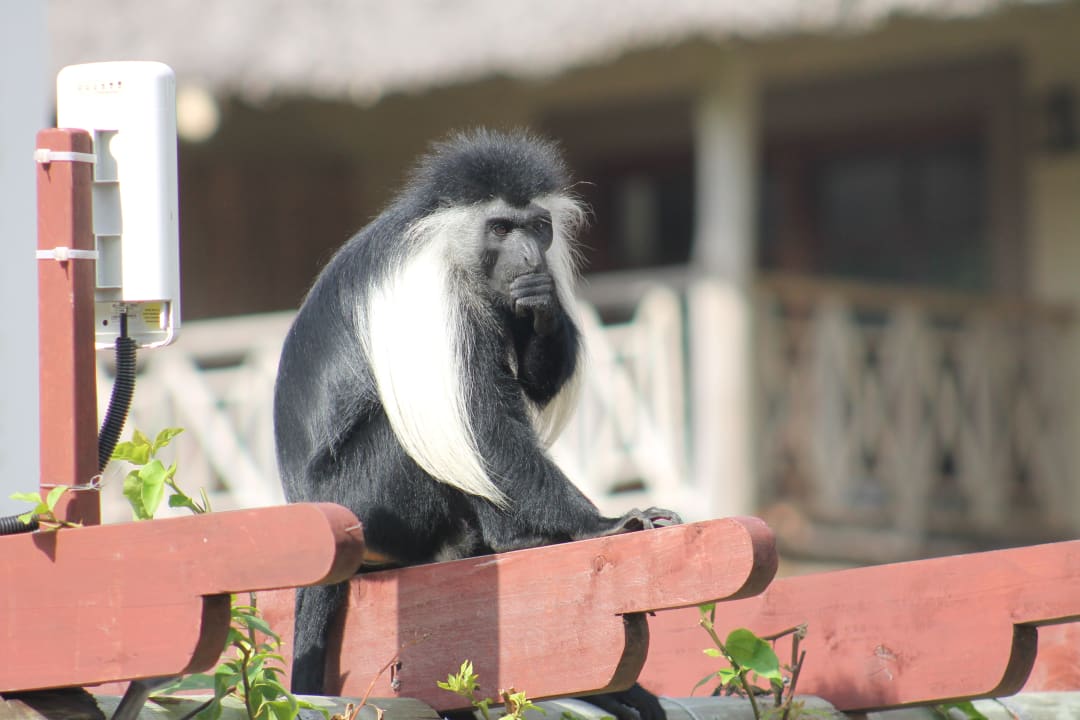 Sonstiges Neptune Village Beach Resort & Spa