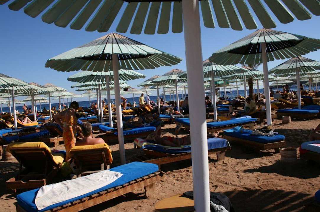 Strandbereich / Liegen Ghazala Gardens