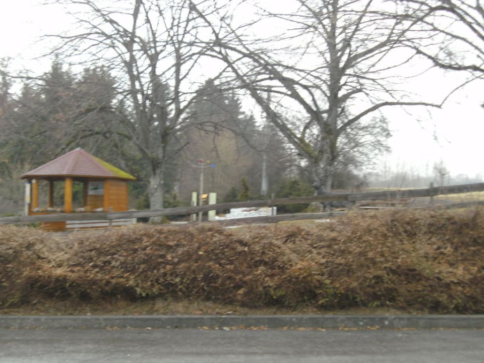 Ab in den Wald Vital- und Wellnesshotel Albblick
