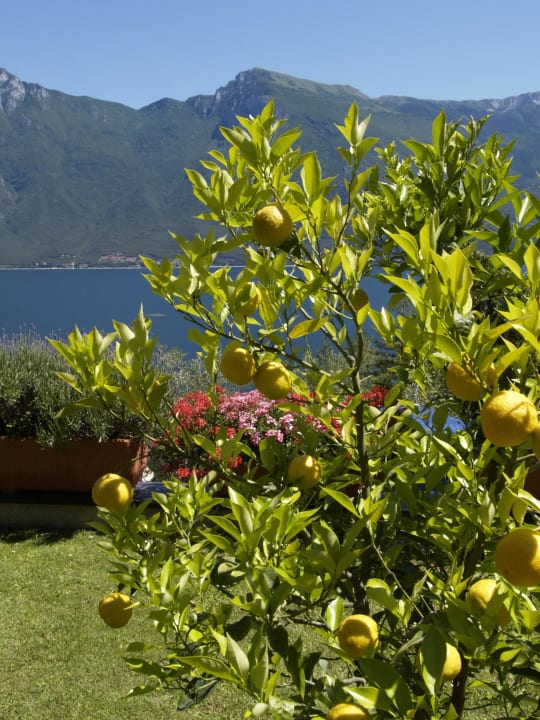 Vista Relax Hotel Villa La Gardenia & Oleandra