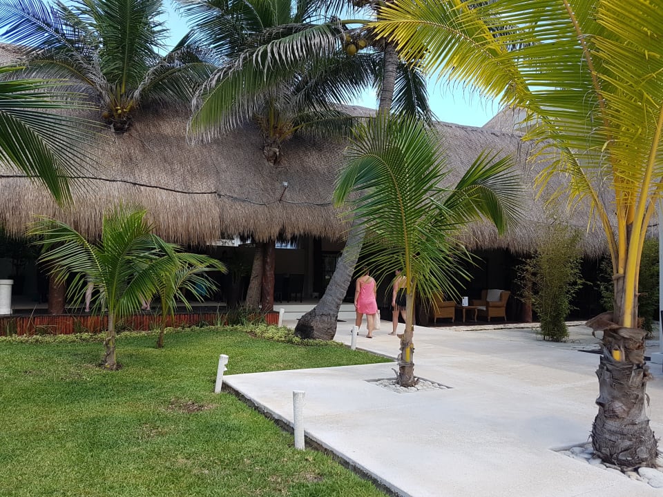 Gartenanlage Akumal Bay Beach & Wellness Resort
