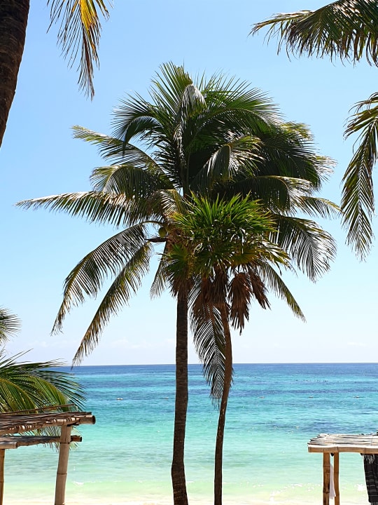 Ausblick Akumal Bay Beach & Wellness Resort