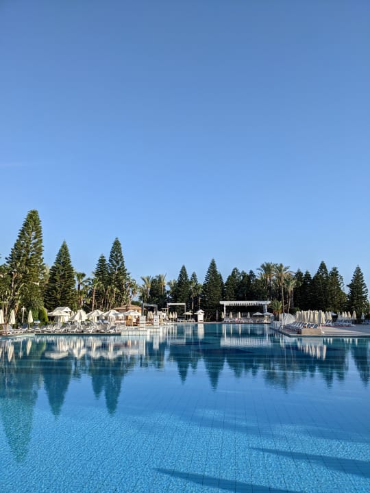 Pool Hotel Delphin Diva