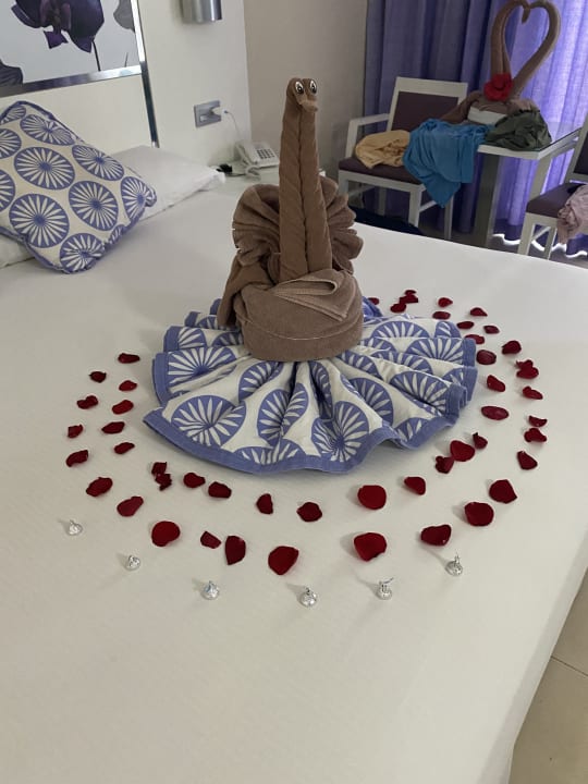 Zimmer Hotel Riu Playacar