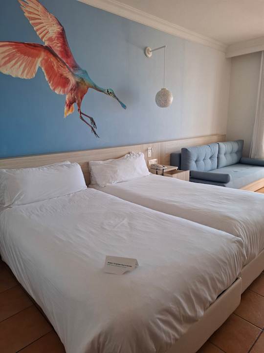 Zimmer Iberostar Waves Founty Beach