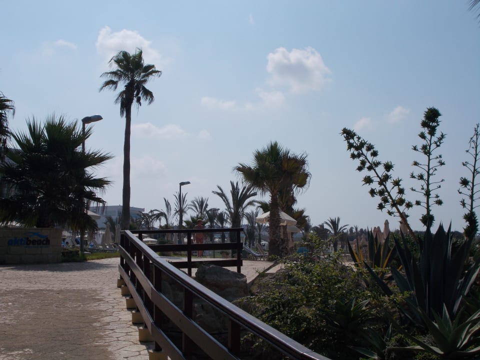 Vom Strand zurück zur Anlage Akti Beach Village Resort