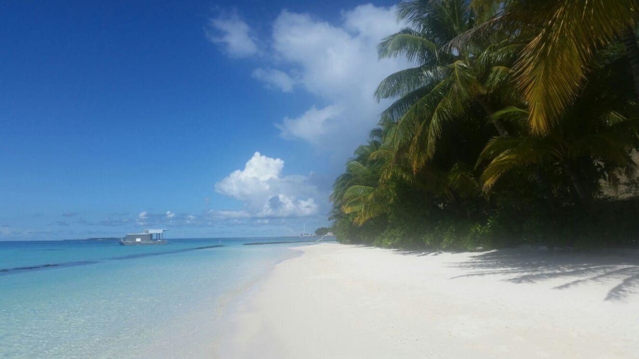 Ein Traum  Kuramathi Maldives