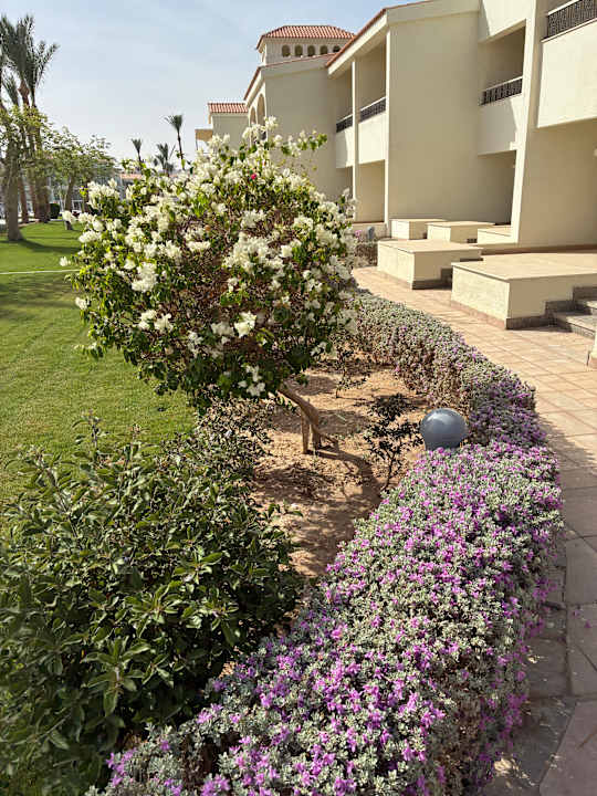 Gartenanlage Pickalbatros Dana Beach Resort - Hurghada